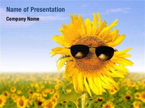 Summer Flower PowerPoint Templates - Summer Flower PowerPoint Backgrounds, Templates for ...