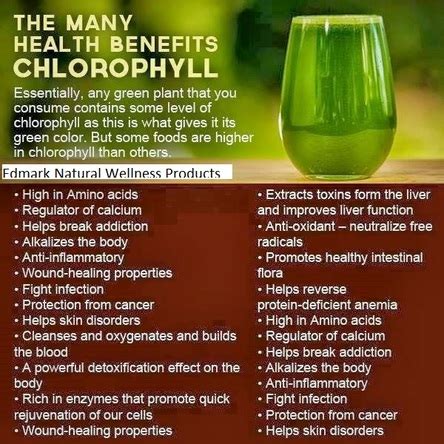 Splina Liquid Chlorophyll Online Shop: The health benefits of Splina ...