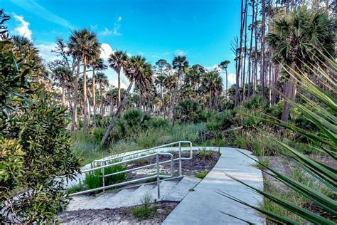 ULTIMATE Guide to Visiting Hunting Island State Park (SC) - Lost In The Carolinas