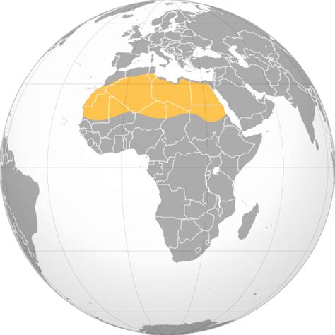 Sahara - Wikipedia