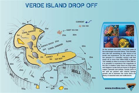 Verde Island Drop OFF