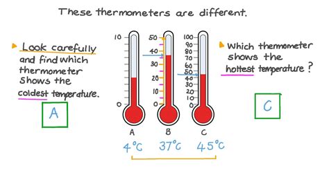 Reading A Thermometer Worksheet – E Street Light