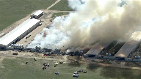 500,000 chickens killed in egg farm fire | FOX31 Denver