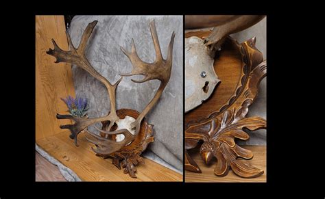 RARE Real CARIBOU Antlers REINDEER Pair of Antlers Mounted on Board ...