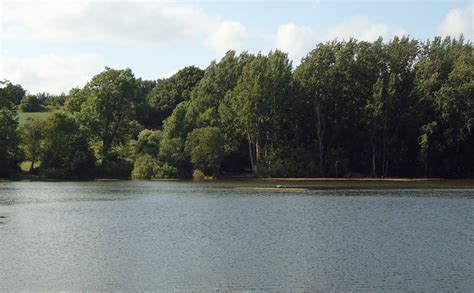 Decoy pond, nr Brantham Industrial Area © Roger Jones cc-by-sa/2.0 :: Geograph Britain and Ireland