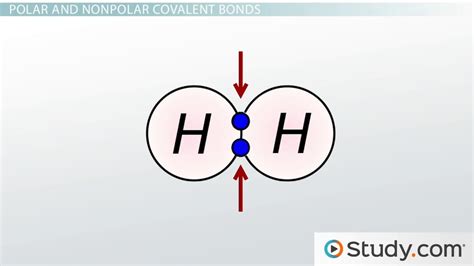 Definition And Examples Of A Polar Bond In Chemistry