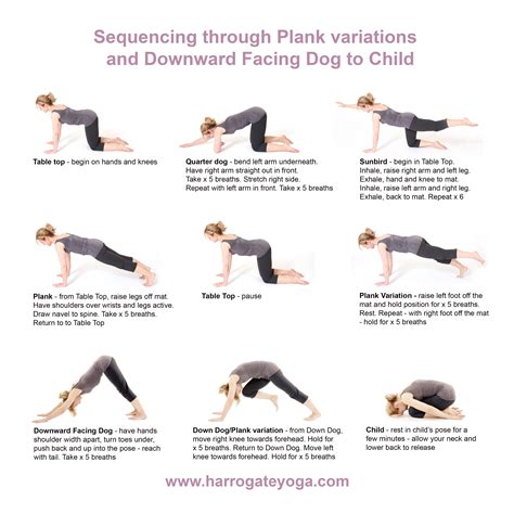 A strengthening sequence including Plank variations and Downward Facing ...