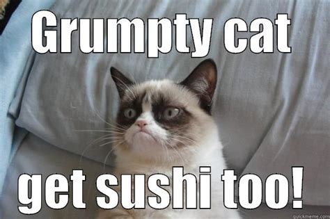 grumpy cat sushi - quickmeme