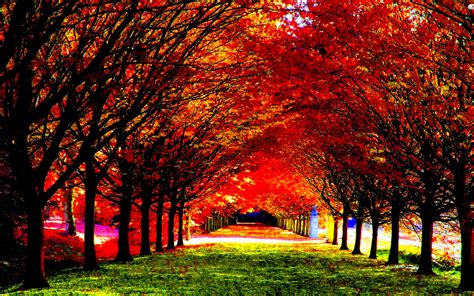 autumn, Fall, Season, Nature, Landscape, Leaf, Leaves, Color, Seasons, Tree, Forest Wallpapers ...