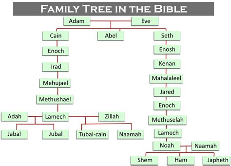 Family tree - The Truth Bookroom Singapore