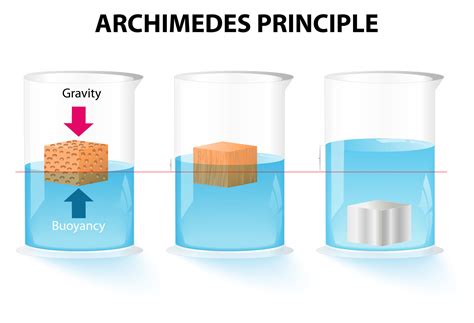 What Is The Principle Of Archimedes