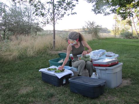 Flitzy Phoebie: Camping at Palouse Falls