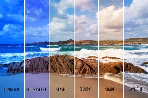 What Is Color Balance in Photography and Image Processing? | Color Meanings