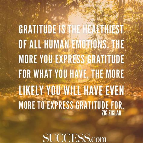 32 Quotes about Gratitude - ActionJacquelyn