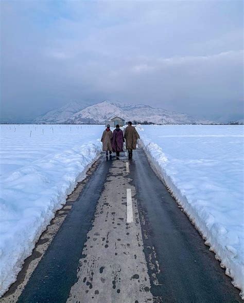 Kashmir | Beautiful Snowy Scenery