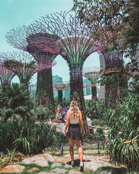 Read this before you visit Singapore’s Gardens by the Bay | Wellness Travelled