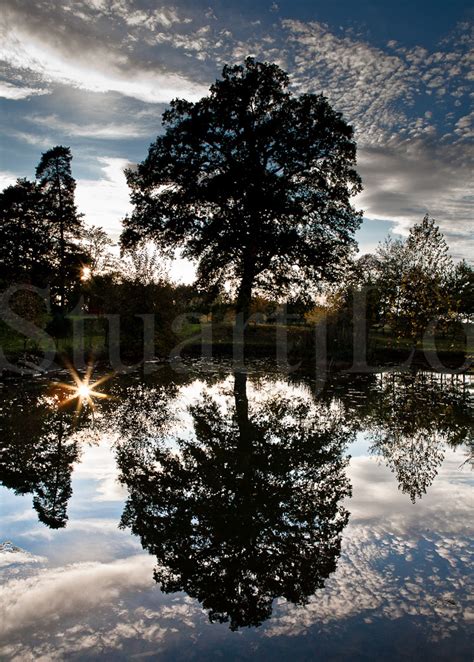 Sunset Pond: StuartjLow PHOTOGRAPHY