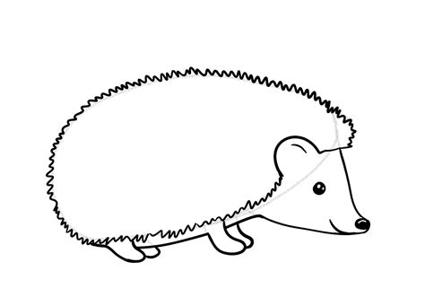 How to Draw a Hedgehog | Design School