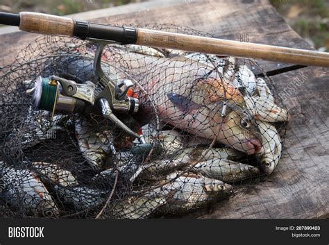 Trophy Fishing. Image & Photo (Free Trial) | Bigstock