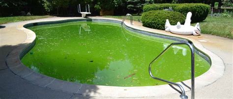 How To Fix A Green Pool – A Complete Guide | 1 Pool Care