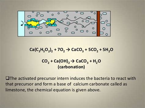 Bio concrete ppt