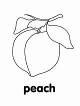 Simple Peach Fruit Coloring Page  Free Printable Pages For Kids sketch template