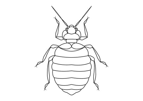 Black and White Bed Bug Clipart. Coloring Page of Bed Bug Stock Image | VectorGrove - Royalty ...
