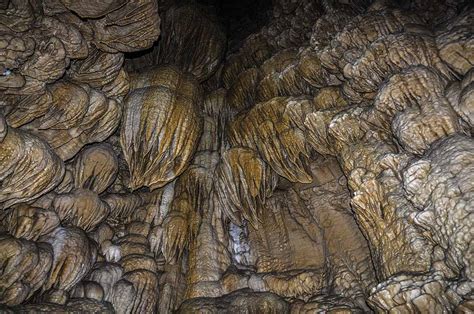 12 Caves In Oregon To Explore In 2024