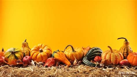 35 Autumnal Zoom Backgrounds for Thanksgiving - The Bash