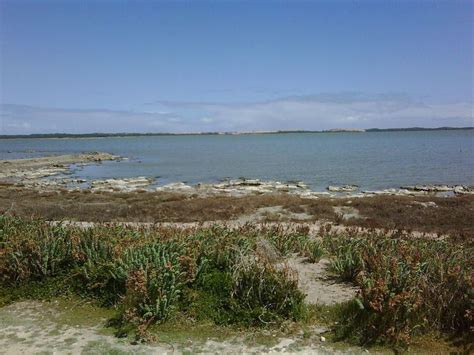 Coorong National Park - Alchetron, The Free Social Encyclopedia