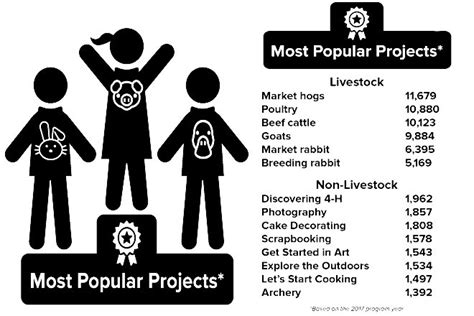 A closer look at the most popular 4-H projects – Ohio Ag Net | Ohio's ...