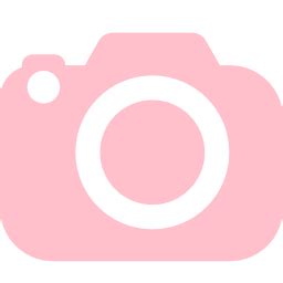 Pink Camera Icon #121608 - Free Icons Library