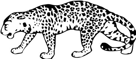 Jaguar clipart outline, Jaguar outline Transparent FREE for download on WebStockReview 2023