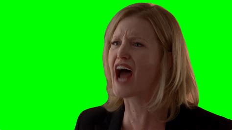 Skyler White "Shut up!" Breaking Bad (Green Screen) – CreatorSet