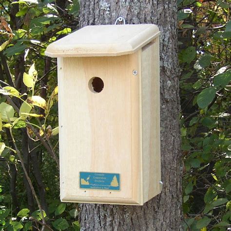 Our Chickadee Bird House | HomeDesignPictures