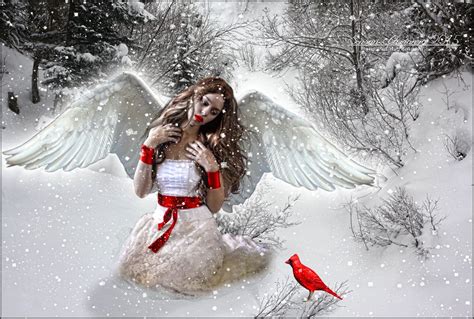 The Winter Angel | Angel pictures, Angel art, Angel images