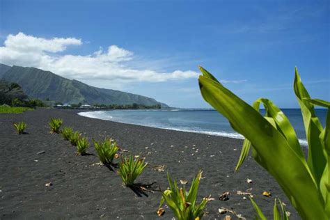 From Papeete: Tahiti Highlights Full-Day Private Tour | GetYourGuide