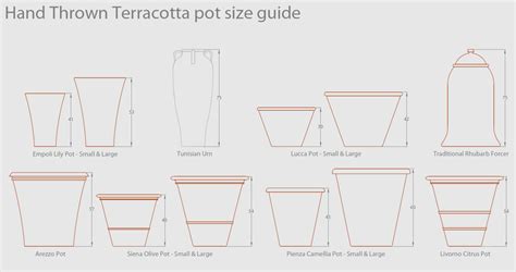 Terracotta Pot Size Guide