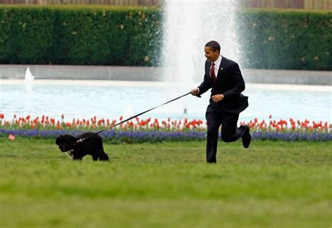 Barack Obama loves his pets - Petpet.news