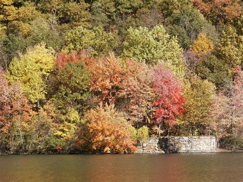 Do you have the best fall foliage photo ever shot in Pennsylvania ...