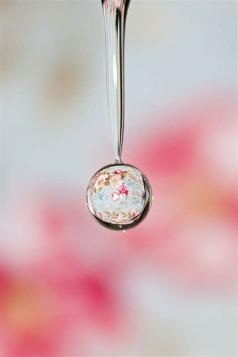 How to shoot amazing water droplet macro | http://coolphotoshoots ...