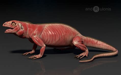 Dariusz andrulonis iguana side muscle Animal Anatomy, Human Anatomy ...