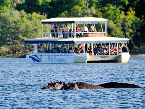 Zambezi River Cruise - Victoria Falls