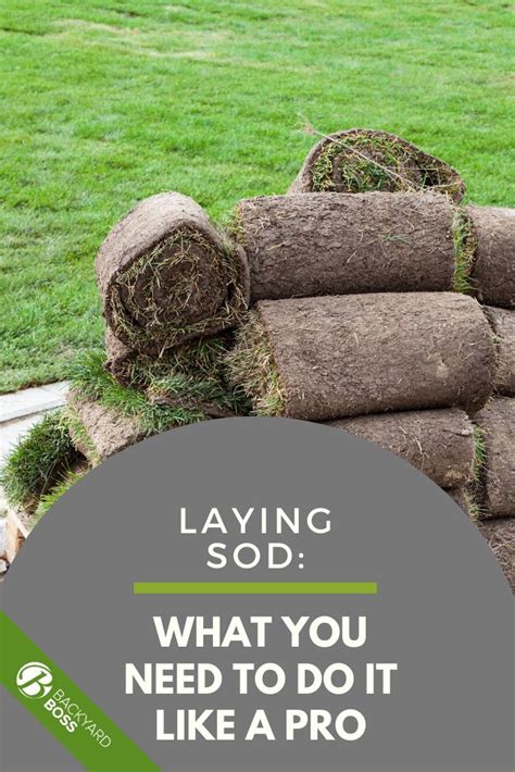 How to Lay Sod in 5 Steps: Installing a New Lawn in 2020 | How to lay sod, Backyard crafts, Lawn