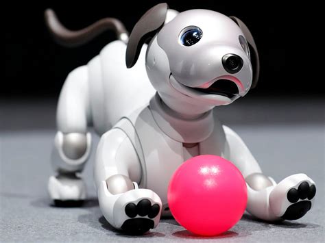 Los 9 mejores perros robots de juguete. PerrosAmigos.com