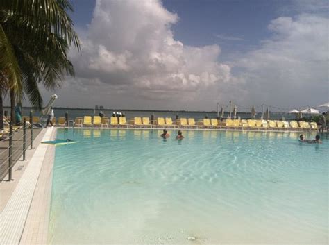 The Standard, Miami Hotel Miami Beach Reviews - TripAdvisor