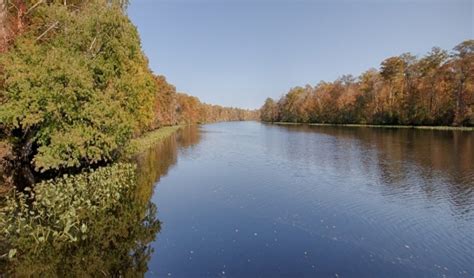 Pocomoke River State Park: Milburn Landing | Worcester County