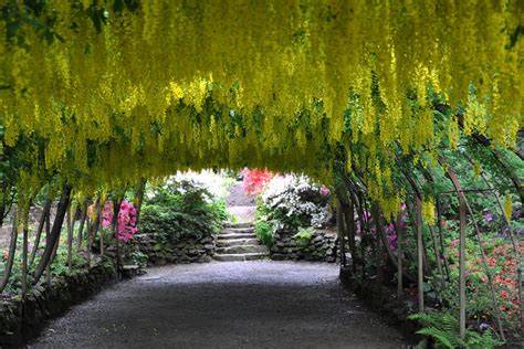 The 17 Best Gardens to Visit in Britain | Gardening - What's On? By C&TH