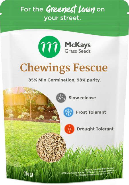 Chewings Fescue Seed - McKays Grass Seeds