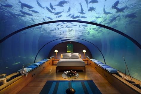 8 Underwater Hotels That Will Let You Sleep With the Fishes